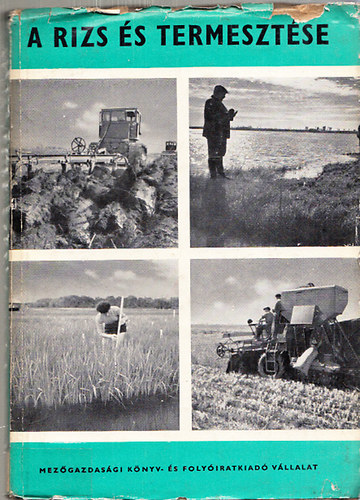K�llay Korn�l  (szerk.) - A rizs �s termeszt�se