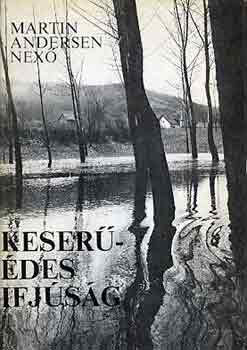 Martin Andersen Nexő - Keserűédes ifjúság