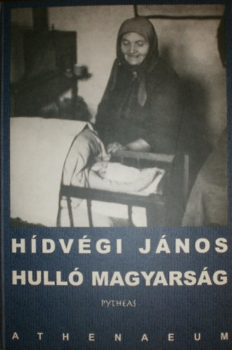 Hidvégi János - Hulló magyarság