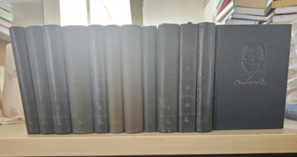 M�ricz Zsigmond - M�ricz Zsigmond �sszegy�jt�tt m�vei: Elbesz�l�sek I-VII., S�rarany- Az Isten h�ta m�g�tt, Az asszony belesz�l- Rab oroszl�n, Erd�ly I-III.