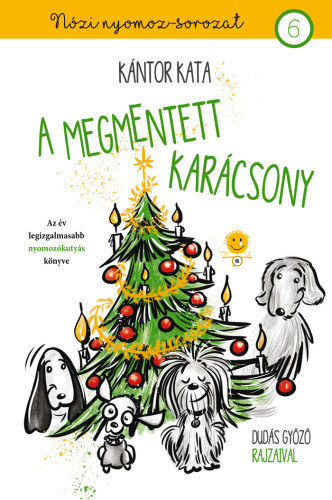 Kntor Kata - A megmentett karcsony