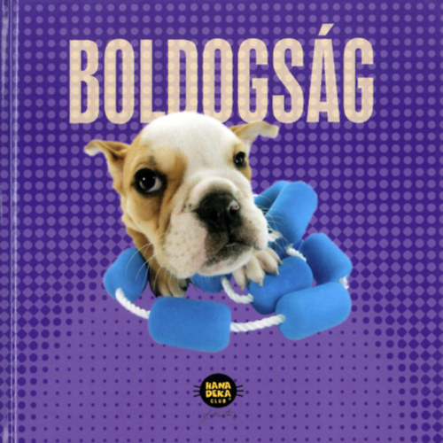 Boldogsg