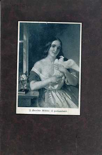 �rver�si k�zl�ny X. �vfolyam 5. sz�m (Rendk�v�li sz�m)