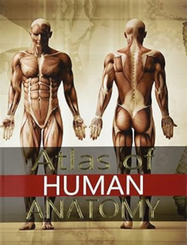 Jordi Vigue - Atlas of Human Anatomy