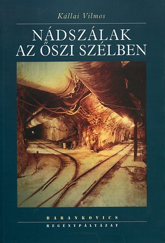 Kállai Vilmos - Nádszálak az őszi szélben