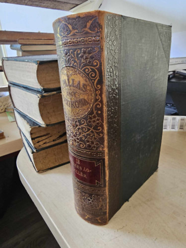 A Pallas nagy lexikona XIII. kötet - 13. (Nemes ág-Pillér)