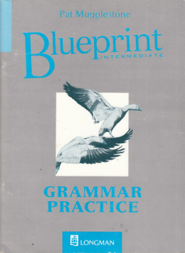 Pat Mugglestone - Blueprint Intermediate - Grammar Practice