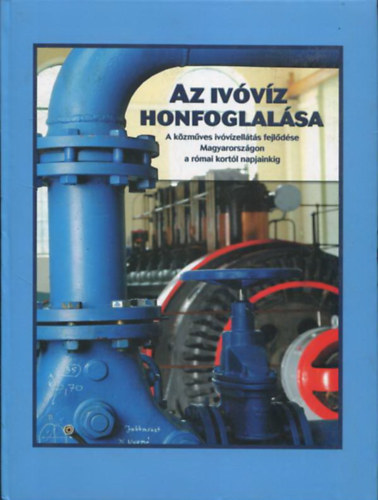 Az ivvz honfoglalsa