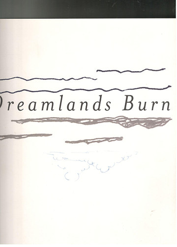 Nordic Art Show 2006 (Dreamlands Burn)