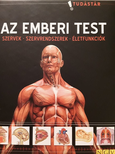Az emberi test - Szervek - Szervrendszerek - letfunkcik