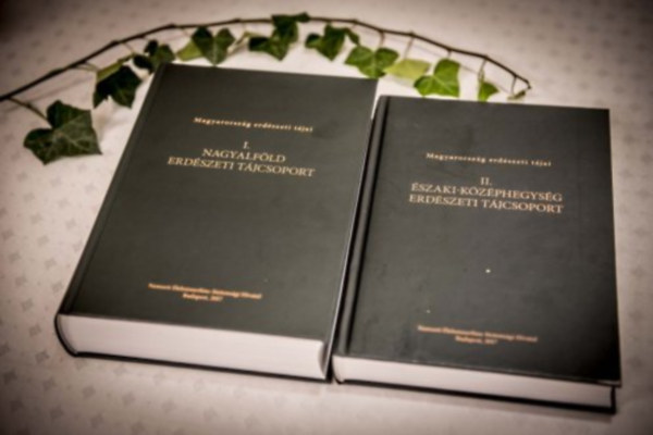 Magyarorsz�g erd�szeti t�jai 1. Nagyalf�ld erd�szeti t�jcsoport