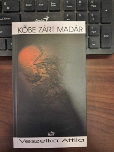 Veszelka Attila - Kőbe zárt madár