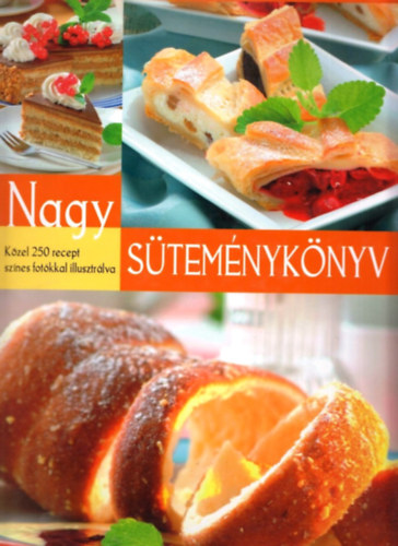 Gabula A.; Halmos M.; Korpdi P.; Patyi . - Nagy stemnyknyv - Kzel 250 recept sznes fotkkal illusztrlva