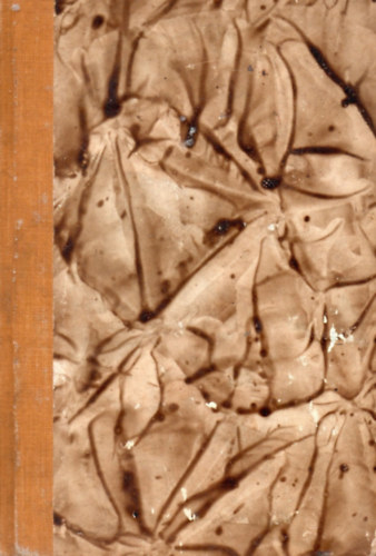 D. H. Lawrence - A tollas kígyó II. kötet