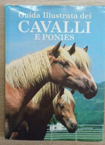 Guida Illustrata dei cavali e ponies (Illusztr�lt kalauz lovakhoz �s p�nikhoz)