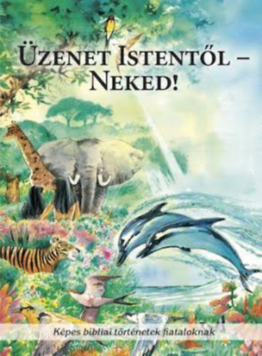 Scott Hayes - Lynn R. Camp - Üzenet Istentől Neked - Képes Biblia szentírási szövegek fiataloknak