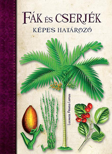 Mara Aldave, Lucrecia Prsico Lamas Clara Svetoslava Staykova - Fk s cserjk - Kpes hatroz; Gombk - Kpes hatroz; Madarak - Kpes hatroz