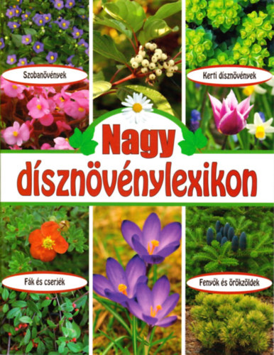 Nagy d�szn�v�nylexikon