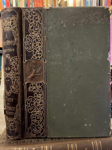 Ókor és középkor története (A műveltség könyvtársa)