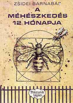 Zsidei Barnabs - A mhszkeds 12 hnapja