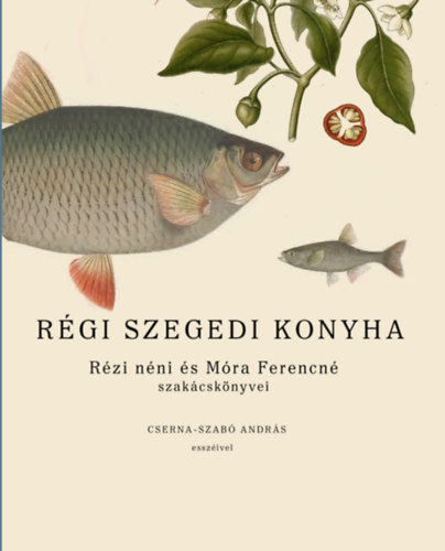 Rgi szegedi konyha