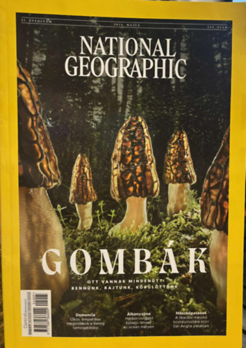National Geographic  - 2024. M�jus. 243. sz�m 21. �vf. - Gomb�k - Ott vannak minden�tt: Benn�nk, rajtunk, k�r�l�tt�nk