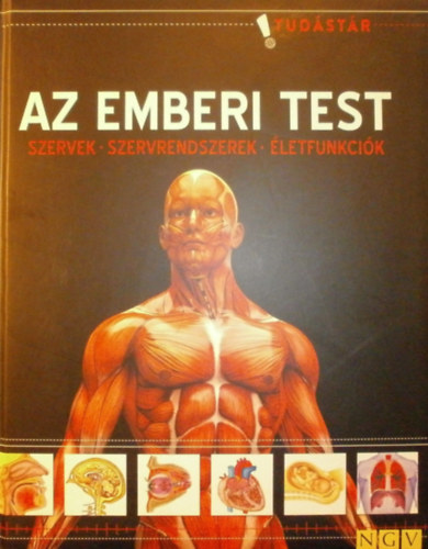 Az emberi test - Szervek - Szervrendszerek - letfunkcik