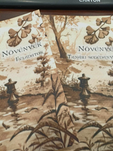 N�v�nyek feladatok+ N�v�nyek Tan�ri seg�danyag