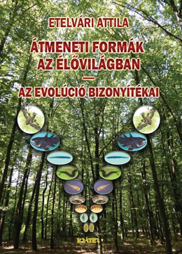Attila Etelv�ri - �tmeneti form�k az �l�vil�gban