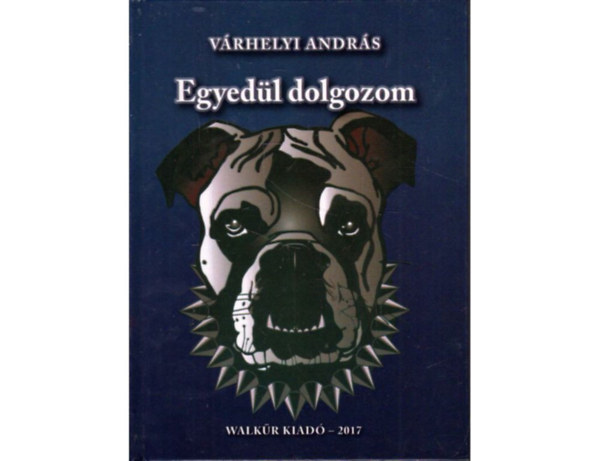 Vrhelyi Andrs - Egyedl dolgozom