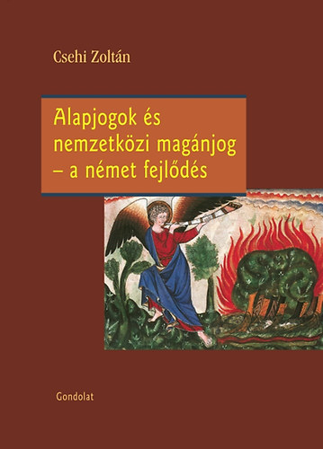Csehi Zolt�n - Alapjogok �s nemzetk�zi mag�njog - A n�met fejl�d�s