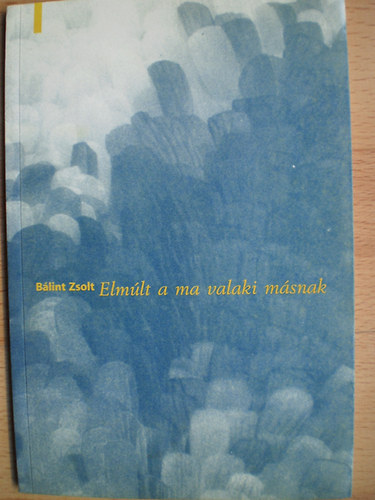 Bálint Zsolt - Elmúlt a ma valaki másnak