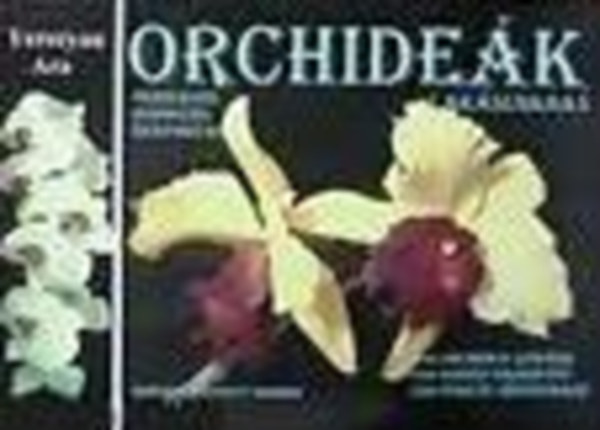 Yerecyan Ara - Orchidek laksunkban