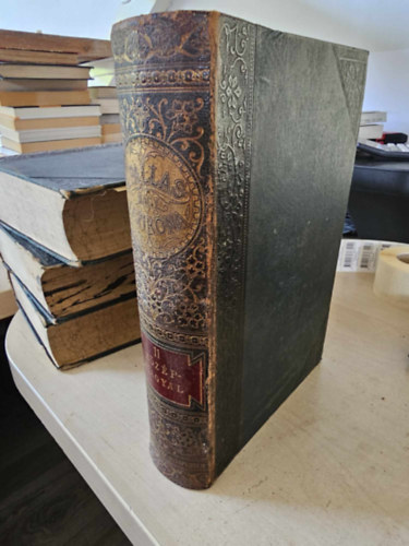 A Pallas nagy lexikona XI. kötet - 11. (Közép-Magyal)