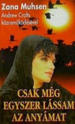 Zana Muhsen - Csak még egyszer lássam az anyámat - Rabszolgaságom története