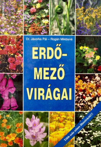 Dr. Jvorka Pl - Rogn Miklsn - Erd-mez virgai