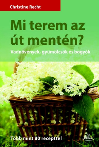 Christine Recht - Mi terem az t mentn?