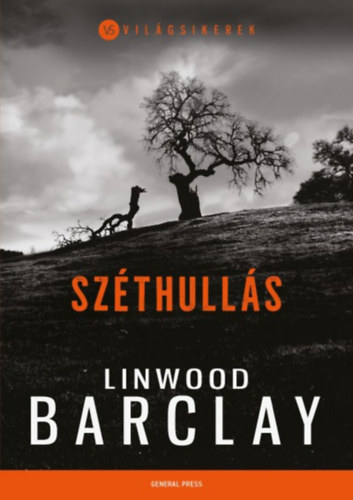 Linwood Barclay - Szthulls
