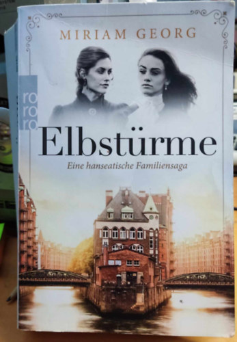 Miriam Georg - Elbstrme (Eine hanseatische Familiensaga)