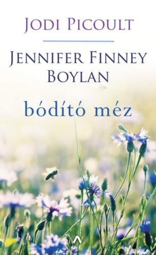 Jennifer Finney Boylan Jodi Picoult - Bdt mz