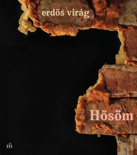 Erds Virg - Hsm