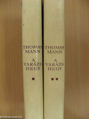 Thomas Mann - A varzshegy 1-2