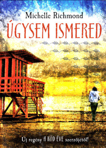 Michelle Richmond - Úgysem ismered