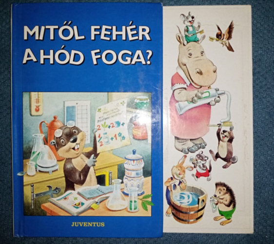Mitl fehr a hd foga?