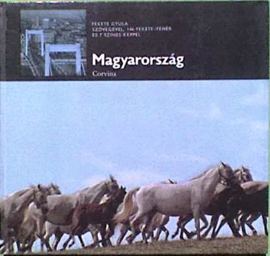 Fekete Gyula - Magyarorszg