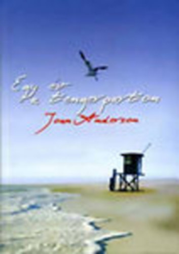 Joan Anderson - Egy év a tengerparton+Befejezetlen házasság