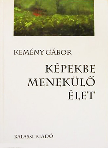 Kemny Gbor - Kpekbe menekl let