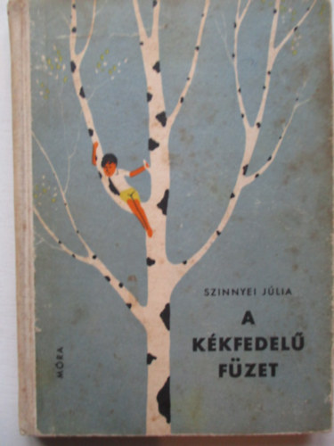 Szinnyei Jlia - A kkfedel fzet