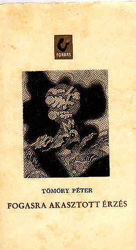 Tömöry Péter - Fogasra akasztott érzés