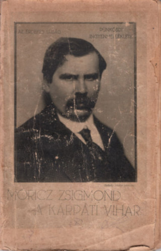Mricz Zsigmond - A krpti vihar